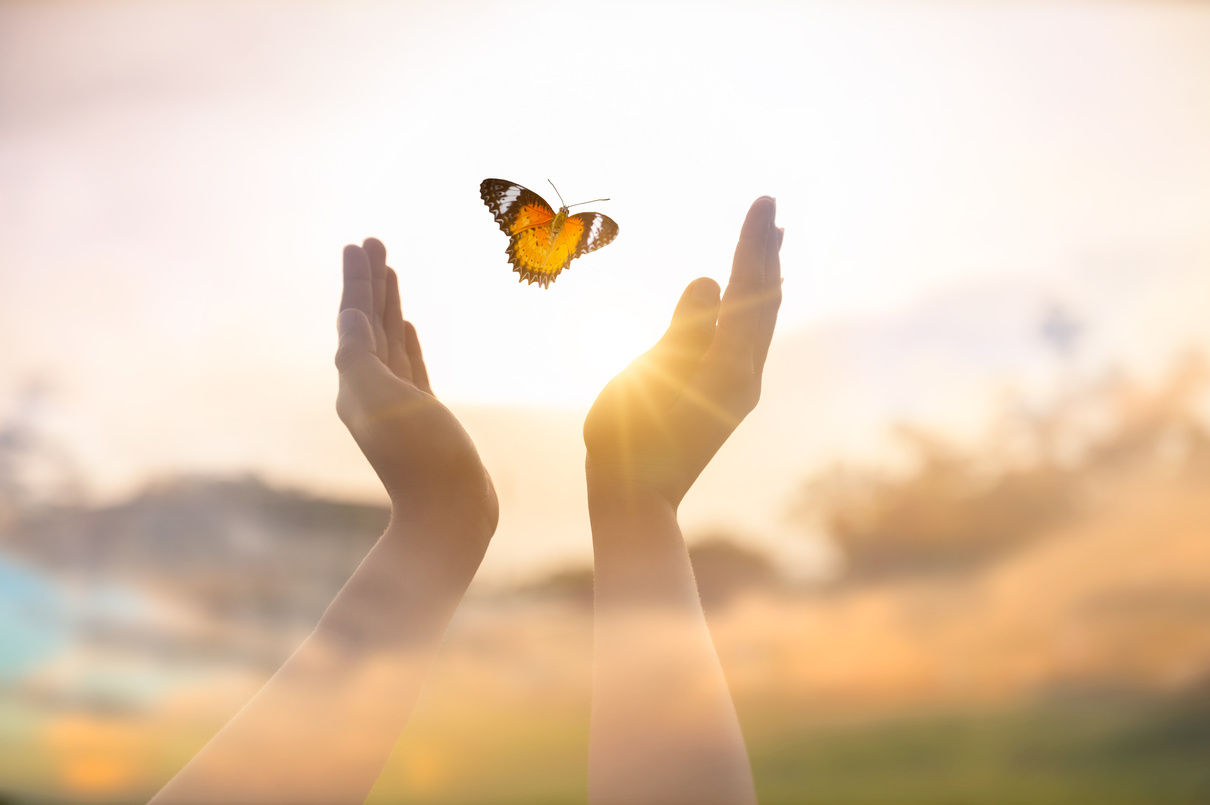 Hands Releasing Butterfly