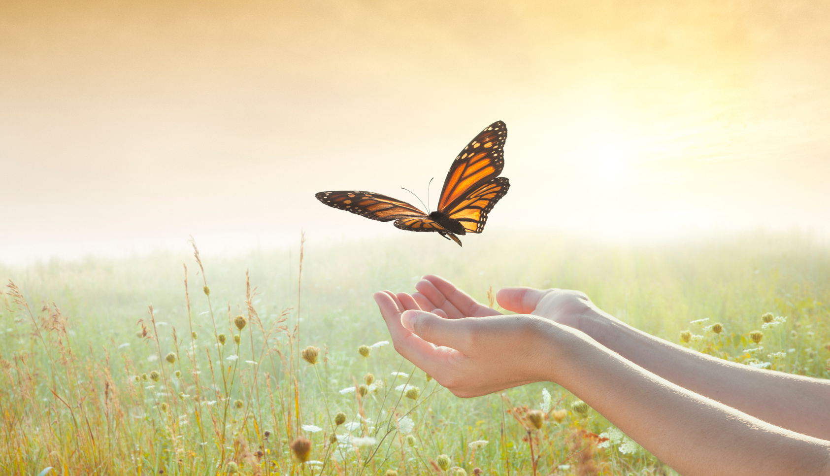 Girl releasing a butterfly